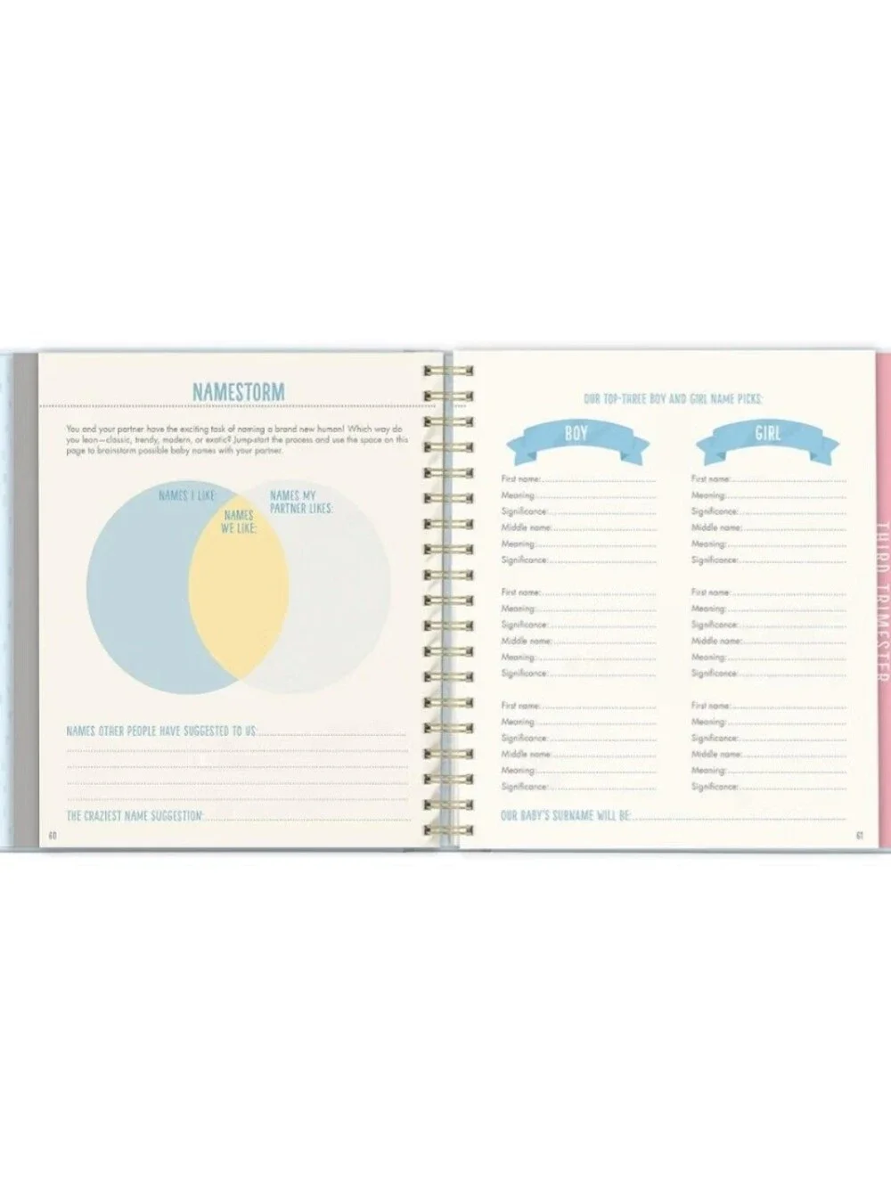 Bump for Joy! Pregnancy Journal - Blue & Pink